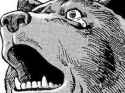 BearCrying.jpg