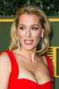 Gillian+Anderson+Evening+Standard+Theatre+HH6x.jpg