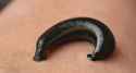 leech-1055446_640x347.jpg