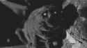 0e2492bef3864239739c23f05000803bba55b43e2a7c225f16c964c33406138b.gif