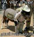 a ver a ver que pasa aqui?.jpg