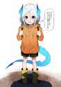 46505029_p1.png