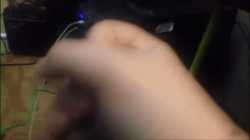 gif.gif