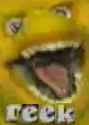 YA PUSSY STANK.png