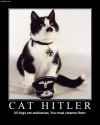 Cat Hitler.jpg