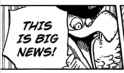 BIGNOOS.png
