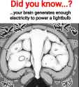 LightBulb.jpg
