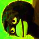 CAW SIT ON MY BEAK CAW CAW CAW CAW.jpg