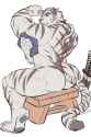 muscle kitty wash back marks.jpg
