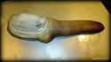 Geoduck.jpg