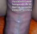 :watch?v=dQw4w9WgXcQ.gif
