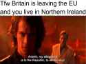 repbcallig.jpg