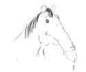 horsecock 6 23 17.jpg