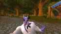 WoWScrnShot_030417_203150.jpg