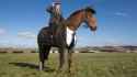_88758616_horsetweedpa.jpg
