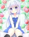 lolis_is_my_life_BcGfCVElbWS.jpg