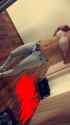 IMG-20160505-WA0013.jpg