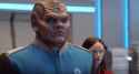 bortus.jpg