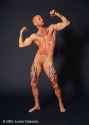Buck-Angel-Meme-06.jpg