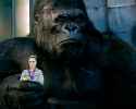 Kong.png