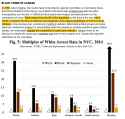 black crime statistics.png