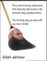 arab-broom.jpg