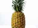 pineapple_1.gif