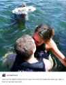 cuck dolphin proposal.jpg