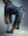 civetstranj rottie ass cum.png