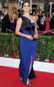melissa-fumero-at-2015-screen-actor-guild-awards-in-los-angeles_4.jpg