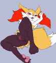 Braixen116c.jpg