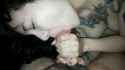 1500787400486.jpg
