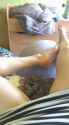 vlcsnap-2017-06-11-19h45m34s397.png