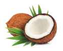 coconuts-with-leaves.jpg