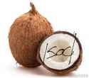 coconutss.jpg