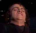 ani.jpg