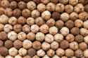 15597339-Coconuts-heap-food-market-India-Stock-Photo.jpg
