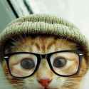 cute-cat-with-beanie-and-glasses-635731307117442594-13752.jpg