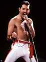 freddie.jpg