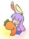 animal_ears ara_ta bad_id bunny_ears carrot chibi hug long_hair purple_hair rabbit_ears solo touhou-5fb893b8253f9318fe29a749b3e5d43f.jpg