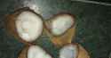 Small and Big Coconuts.jpg
