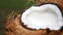 coconut-milk_625x350_51467098197.jpg