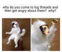1512227603723.jpg