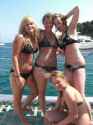 _06_yfnyfy_gross_4144553.jpg