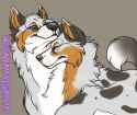 1449481639.shredvenita_headachewatermark.png