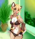 13_1483025013.pacevanrign_chetauri.png