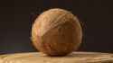 sexy coconut.jpg