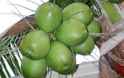 greencoconuts.jpg