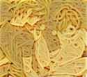 I Love spaghetti!!!!.jpg