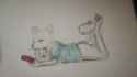 IMG-20171208-WA0019-1664x934.jpg